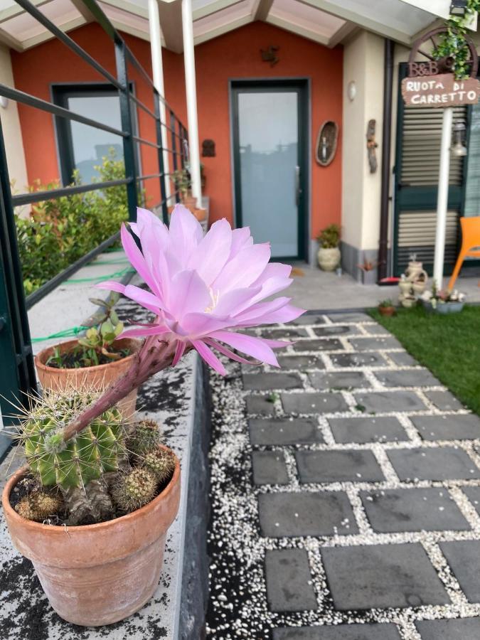 B&B Ruota Di Carretto 尼科洛西 外观 照片